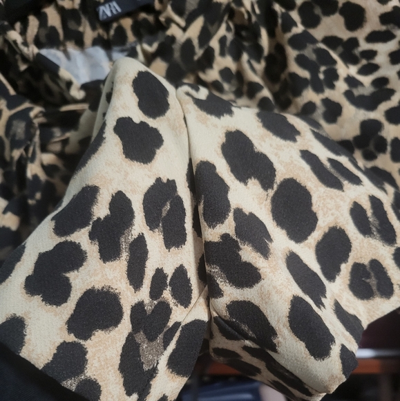 Zara Leopard Print High Waisted Shorts - Picture 2 of 12